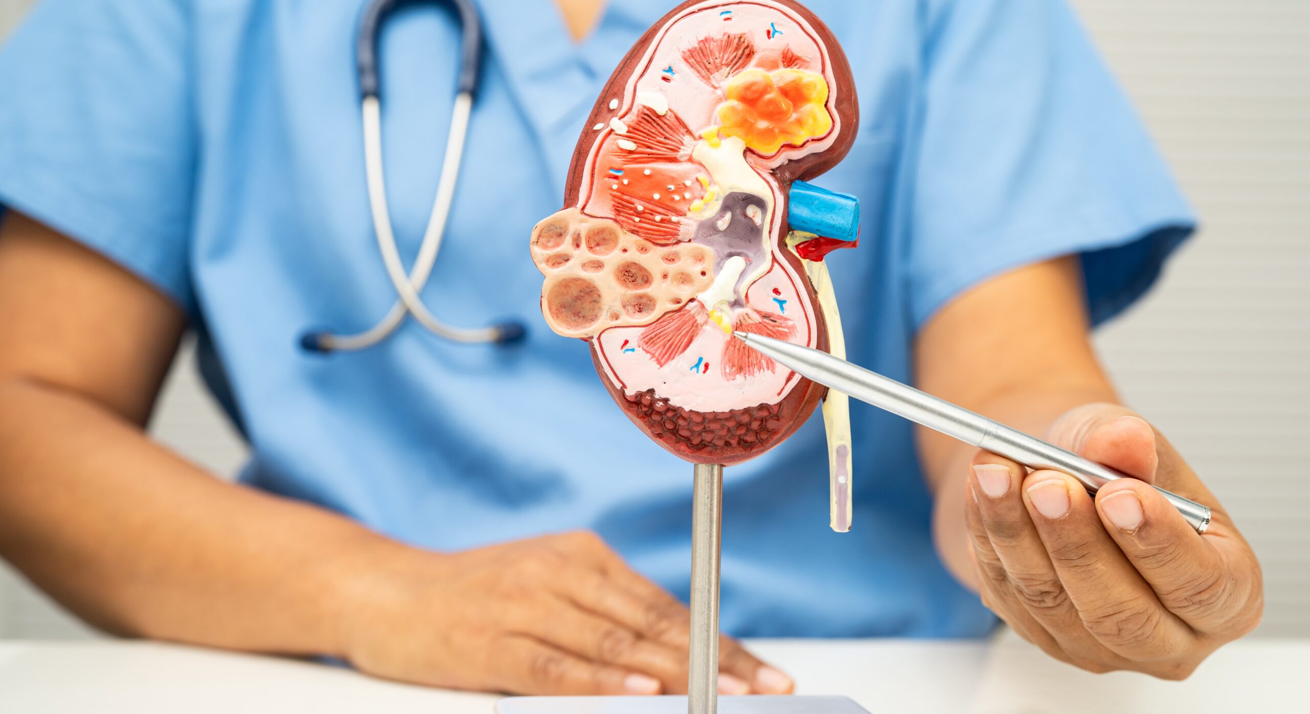 Plant-Forward Diet and Kidney Health: How What You Eat Today Can Protect Your Kidneys Tomorrow!